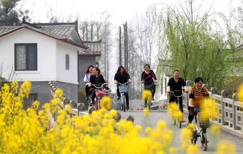 乡村产业前景广阔，提升空间巨大