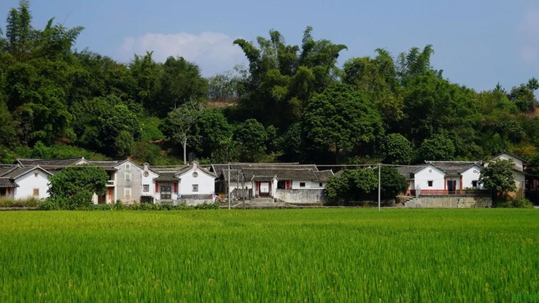  乡村里的“淘宝”