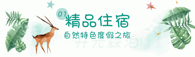 开元森泊一站式休闲度假天堂，如何做到单月营业额4300万？