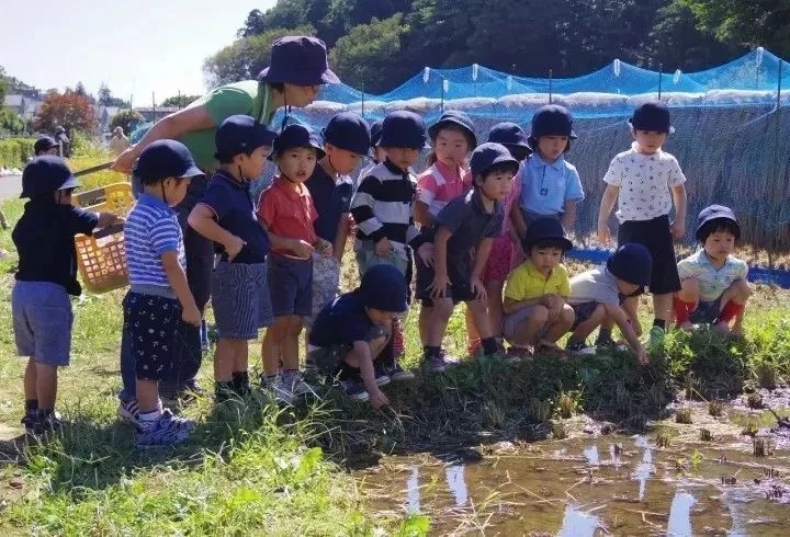 谁说小农场不赚钱？看这些不到10亩的迷你农场是怎么做到名利双收的