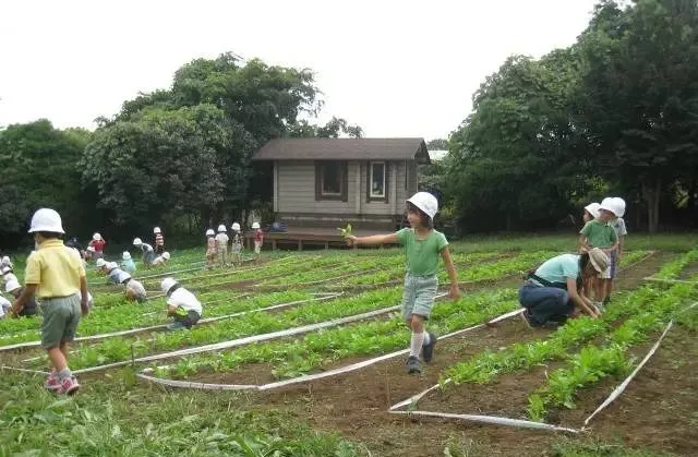 谁说小农场不赚钱？看这些不到10亩的迷你农场是怎么做到名利双收的