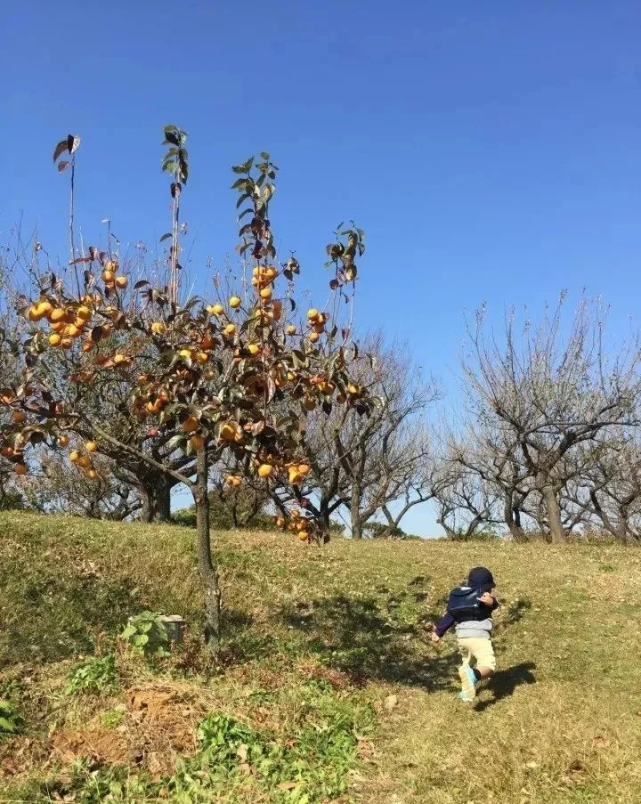 谁说小农场不赚钱？看这些不到10亩的迷你农场是怎么做到名利双收的