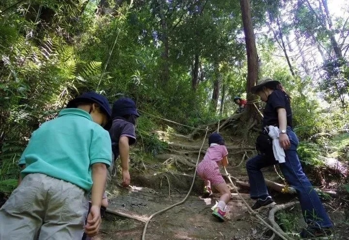 谁说小农场不赚钱？看这些不到10亩的迷你农场是怎么做到名利双收的