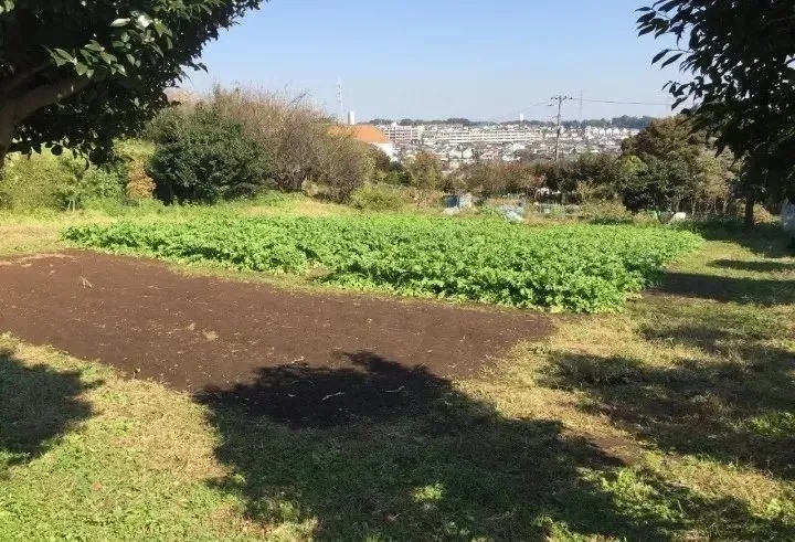 谁说小农场不赚钱？看这些不到10亩的迷你农场是怎么做到名利双收的