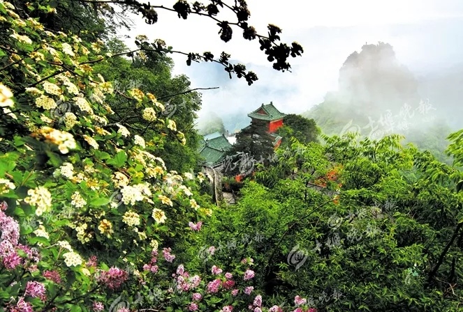 中医药康养，农文旅市场的蓝海