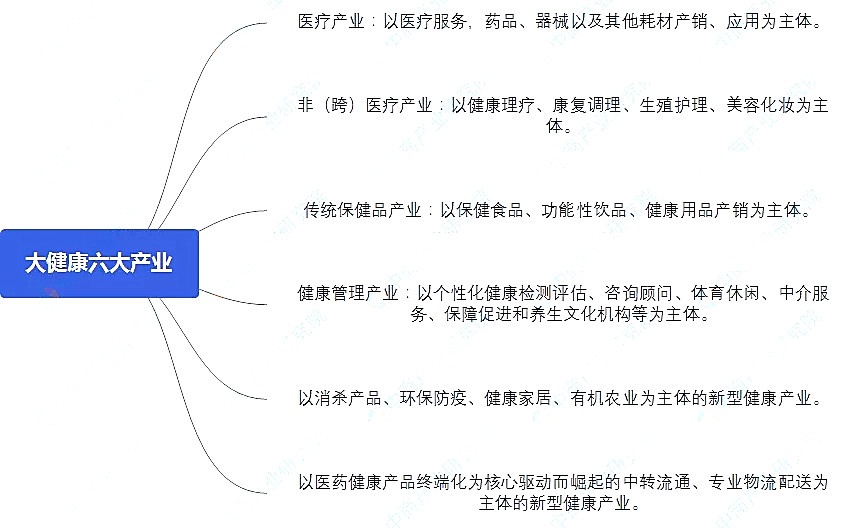 2020年中国大健康产业市场前景及投资研究报告（简版）