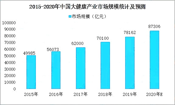 2020年中国大健康产业市场前景及投资研究报告（简版）