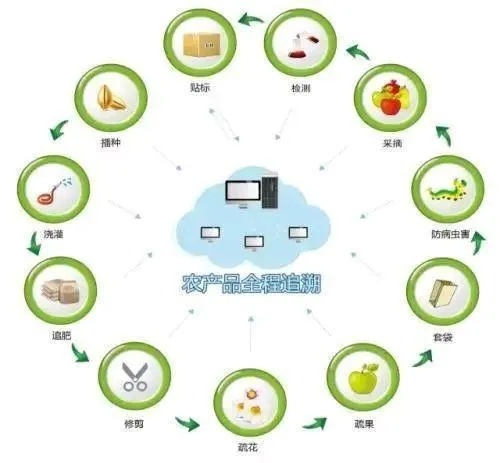 区块链+农业，农村金融新蓝海