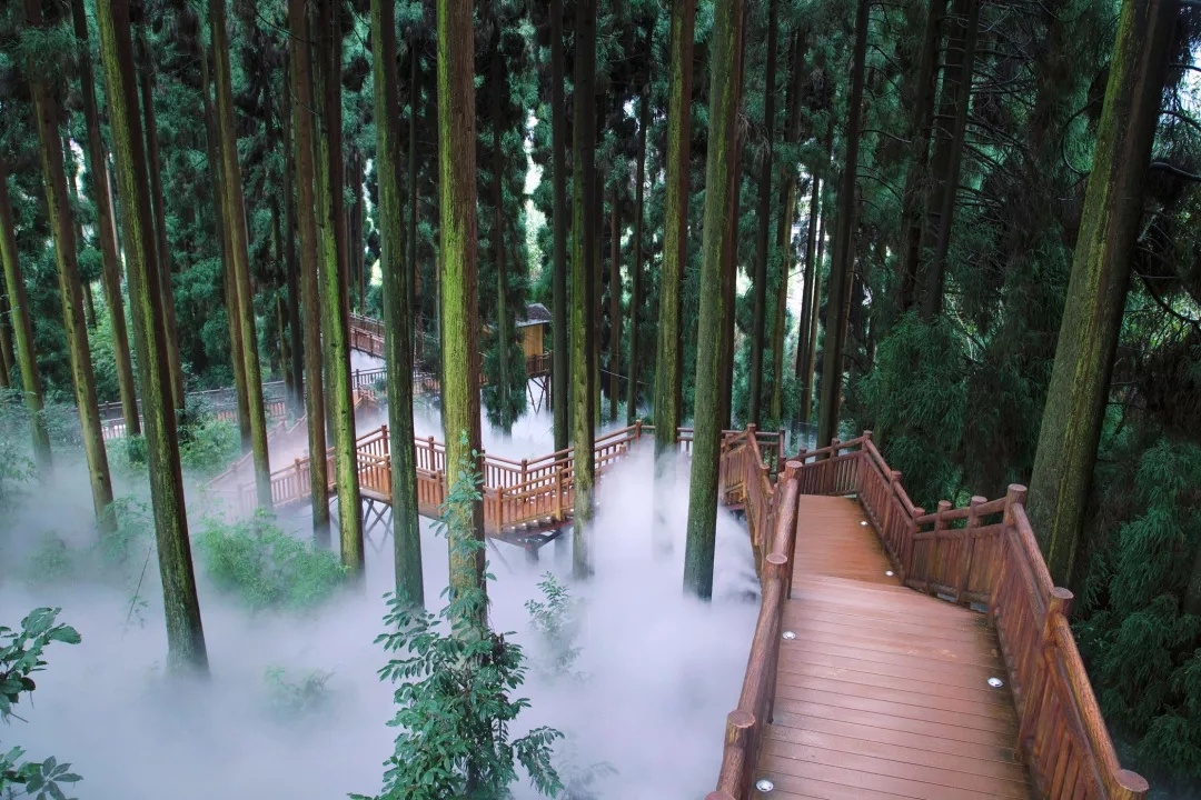 案例 | 中国洪雅·峨眉半山七里坪森林康养旅游度假区规划分析